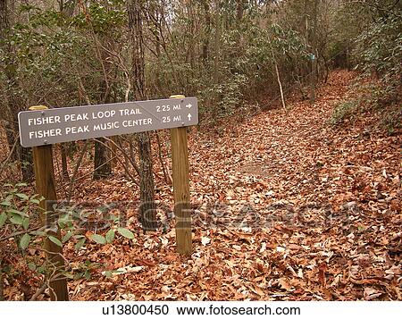 Fisher Peak Loop Trail, Blue Ridge Parkway, Galax, Virginia, VA View Large Photo Image Stock Image - Fisher Peak Loop Trail, Blue Ridge Parkway, Galax, Virginia, VA. Fotosearch