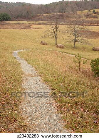 Fisher Peak Loop Trail, Blue Ridge Parkway, Galax, Virginia, VA View Large Photo Image Stock Image - Fisher Peak Loop Trail, Blue Ridge Parkway, Galax, Virginia, VA. Fotosearch