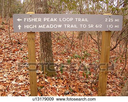 Fisher Peak Loop Trail, Blue Ridge Parkway, Galax, Virginia, VA View Large Photo Image Stock Photo - Fisher Peak Loop Trail, Blue Ridge Parkway, Galax, Virginia, VA. Fotosearch