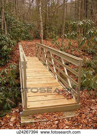 Picture -  Fisher Peak Loop Trail, bridge, Blue Ridge Parkway, Galax, Virginia, VA. Fotosearch