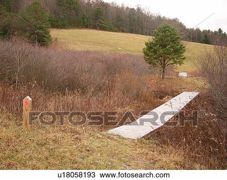 Stock Image -  Fisher Peak Loop Trail, bridge, Blue Ridge Parkway, Galax, Virginia, VA. Fotosearch