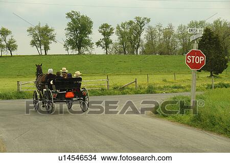 Gap, PA, Pennsylvania, Pennsylvania Dutch Country, Amish, horse and open buggy, road View Large Photo Image Picture - Gap, PA, Pennsylvania, Pennsylvania Dutch Country, Amish, horse and open buggy, road. Fotosearch