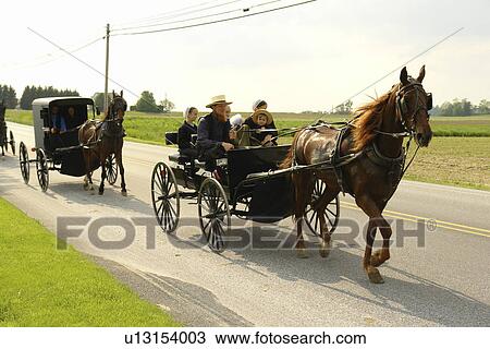 Gap, PA, Pennsylvania, Pennsylvania Dutch Country, Amish, horse and open buggy, buggies, family, road View Large Photo Image Stock Image - Gap, PA, Pennsylvania, Pennsylvania Dutch Country, Amish, horse and open buggy, buggies, family, road. Fotosearch
