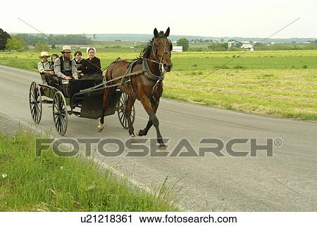 Gap, PA, Pennsylvania, Pennsylvania Dutch Country, Amish, horse and open buggy, road View Large Photo Image Stock Image - Gap, PA, Pennsylvania, Pennsylvania Dutch Country, Amish, horse and open buggy, road. Fotosearch