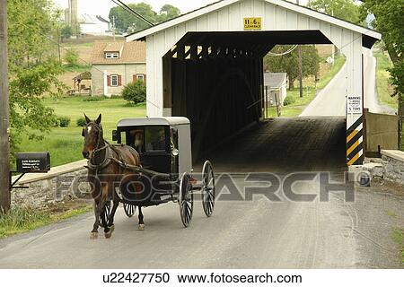 Stock Image -  Gap, PA, Pennsylvania, Pennsylvania Dutch Country, Amish, horse and buggy, road, covered bridge. Fotosearch