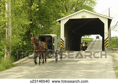 Gap, PA, Pennsylvania, Pennsylvania Dutch Country, Amish, horse and buggy, road, covered bridge View Large Photo Image Stock Image - Gap, PA, Pennsylvania, Pennsylvania Dutch Country, Amish, horse and buggy, road, covered bridge. Fotosearch