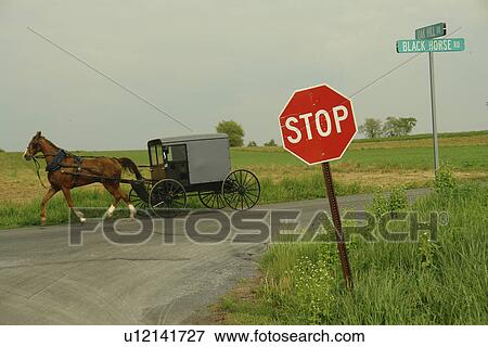 Gap, PA, Pennsylvania, Pennsylvania Dutch Country, Amish, horse and buggy, road, intersection View Large Photo Image Stock Photo - Gap, PA, Pennsylvania, Pennsylvania Dutch Country, Amish, horse and buggy, road, intersection. Fotosearch