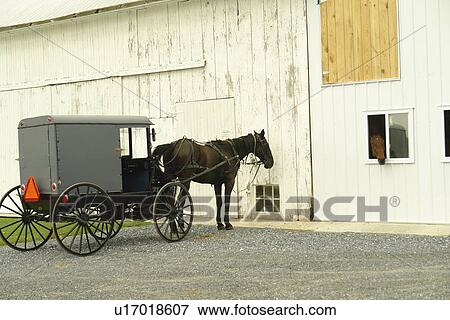Gap, PA, Pennsylvania, Pennsylvania Dutch Country, Amish, horse and buggy, barn View Large Photo Image Stock Photo - Gap, PA, Pennsylvania, Pennsylvania Dutch Country, Amish, horse and buggy, barn. Fotosearch