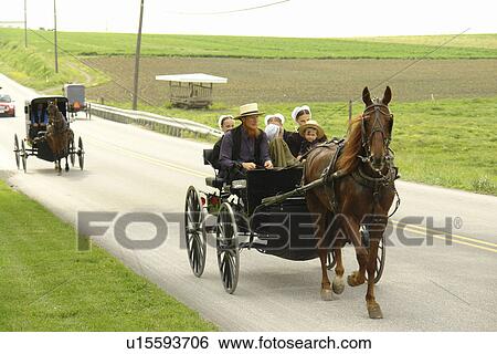 Gap, PA, Pennsylvania, Pennsylvania Dutch Country, Amish, horse and open buggy, family, road View Large Photo Image Stock Photograph - Gap, PA, Pennsylvania, Pennsylvania Dutch Country, Amish, horse and open buggy, family, road. Fotosearch