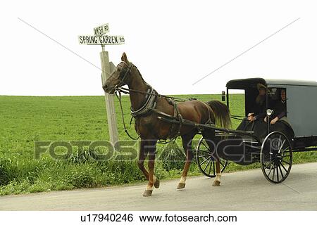 Gap, PA, Pennsylvania, Pennsylvania Dutch Country, Amish, horse and buggy, road View Large Photo Image Stock Photograph - Gap, PA, Pennsylvania, Pennsylvania Dutch Country, Amish, horse and buggy, road. Fotosearch