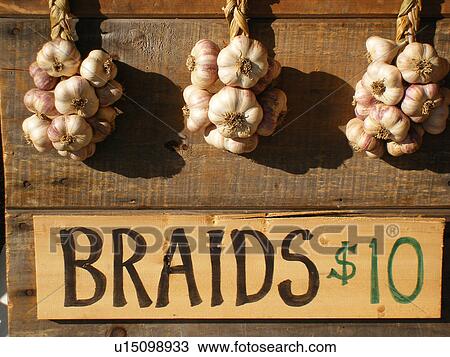 garlic braids, Saturday Farmers Market, Montpelier, VT, Vermont View Large Photo Image Stock Image - garlic braids, Saturday Farmers Market, Montpelier, VT, Vermont. Fotosearch