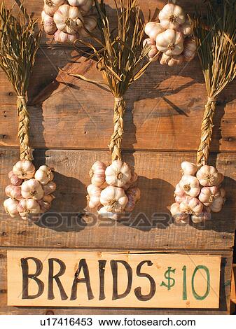 Stock Image -  garlic braids, Saturday Farmers Market, Montpelier, VT, Vermont. Fotosearch