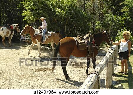 Glacier National Park, MT, Montana, Rocky Mountains, Many Glacier Region, Many Glacier Hotel, trail rides View Large Photo Image Picture - Glacier National Park, MT, Montana, Rocky Mountains, Many Glacier Region, Many Glacier Hotel, trail rides. Fotosearch