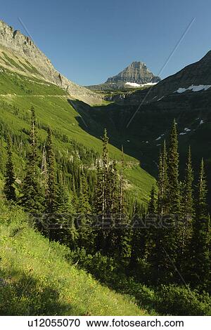 Glacier National Park, MT, Montana, Rocky Mountains, Going to the Sun Road, overlook View Large Photo Image Stock Image - Glacier National Park, MT, Montana, Rocky Mountains, Going to the Sun Road, overlook. Fotosearch