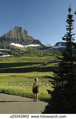 Glacier National Park, MT, Montana, Rocky Mountains, Going to the Sun Road, Continental Divide, Logan Pass Visitor Center, Nature Trail View Large Photo Image Stock Image - Glacier National Park, MT, Montana, Rocky Mountains, Going to the Sun Road, Continental Divide, Logan Pass Visitor Center, Nature Trail. Fotosearch