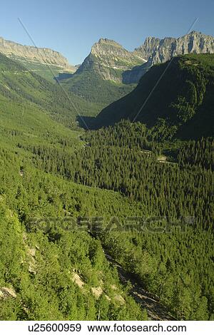 Glacier National Park, MT, Montana, Rocky Mountains, Going to the Sun Road, overlook View Large Photo Image Stock Photo - Glacier National Park, MT, Montana, Rocky Mountains, Going to the Sun Road, overlook. Fotosearch