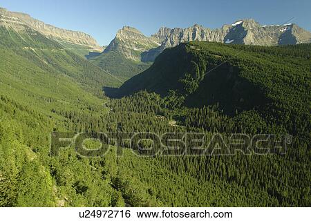 Glacier National Park, MT, Montana, Rocky Mountains, Going to the Sun Road, overlook View Large Photo Image Stock Photograph - Glacier National Park, MT, Montana, Rocky Mountains, Going to the Sun Road, overlook. Fotosearch