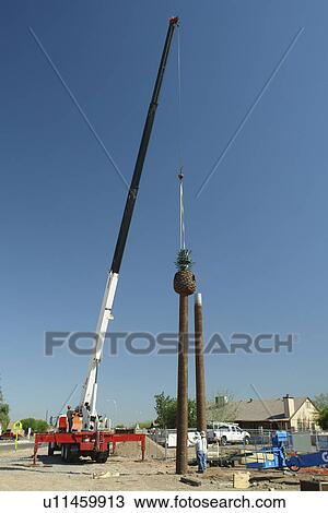 Stock Image -  Glendale, Phoenix, Arizona, AZ. Fotosearch