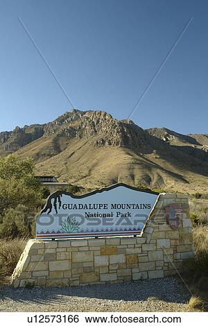 Guadalupe Mountains National Park, Texas, TX, View Large Photo Image Stock Photograph - Guadalupe Mountains National Park, Texas, TX, . Fotosearch