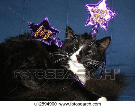 Happy New Year antennas, Cat, Galax, Virginia, VA View Large Photo Image Stock Image - Happy New Year antennas, Cat, Galax, Virginia, VA. Fotosearch