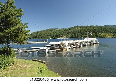 Harrison, ID, Idaho, Lake Coeur D' Alene Scenic Byway, Coeur D' Alene Lake, marina View Large Photo Image Stock Photography - Harrison, ID, Idaho, Lake Coeur D' Alene Scenic Byway, Coeur D' Alene Lake, marina. Fotosearch