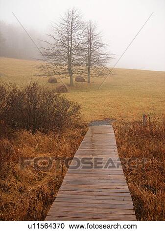hiking, Fisher Peak Loop Trail, Blue Ridge Parkway, Galax, Virginia, VA View Large Photo Image Stock Image - hiking, Fisher Peak Loop Trail, Blue Ridge Parkway, Galax, Virginia, VA. Fotosearch