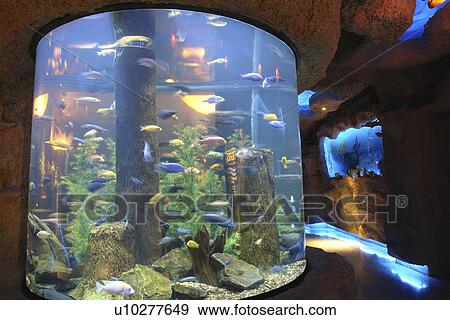 Houston, Texas, TX, View Large Photo Image Stock Photo - Houston, Texas, TX, . Fotosearch