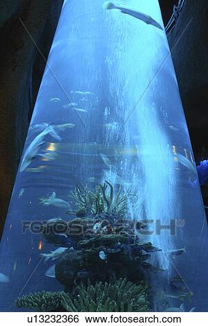 Stock Photograph -  Houston, Texas, TX, . Fotosearch