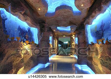 Stock Photography -  Houston, Texas, TX, . Fotosearch