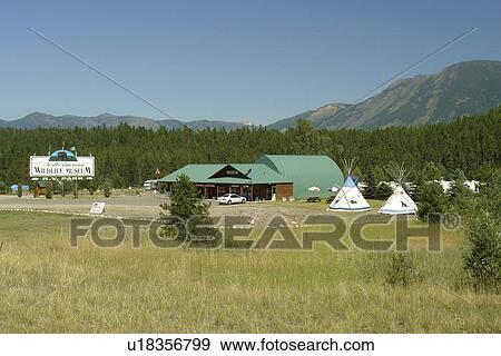 Hungry Horse/Coran/West Glacier, MT, Montana, The North American Wildlife Museum View Large Photo Image Stock Photo - Hungry Horse/Coran/West Glacier, MT, Montana, The North American Wildlife Museum. Fotosearch