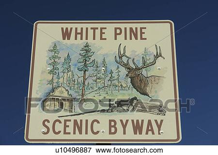 Stock Photo -  ID, Idaho, White Pine Scenic Byway, road sign. Fotosearch