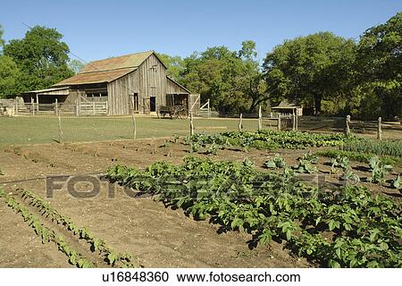 Stock Image -  Johnson City, Stonewall, Texas, TX, Hill Country. Fotosearch