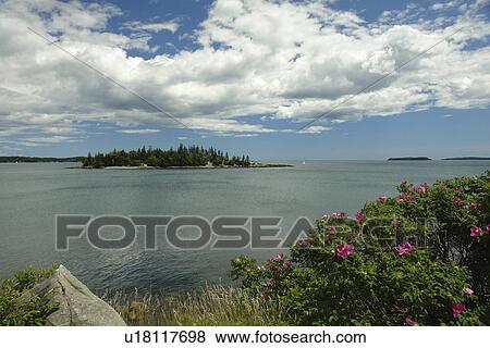 Jonesport, ME, Maine, harbor View Large Photo Image Stock Photo - Jonesport, ME, Maine, harbor. Fotosearch