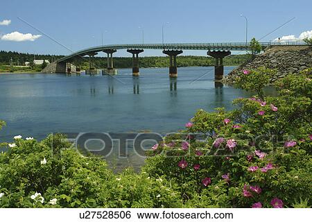 Lubec, ME, Maine, Bay of Fundy, D Roosevelt Memorial Bridge & Campobello Island, NB, New Brunswick, Canada View Large Photo Image Stock Photograph - Lubec, ME, Maine, Bay of Fundy, D Roosevelt Memorial Bridge & Campobello Island, NB, New Brunswick, Canada. Fotosearch