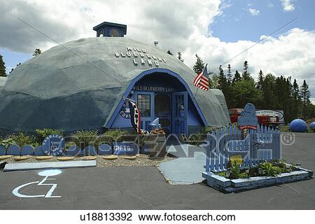 Stock Image -  Machias, ME, Maine, Wild Blueberry Land. Fotosearch