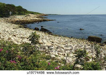 Stock Photo -  Magnolia, MA, Massachusetts, beach. Fotosearch