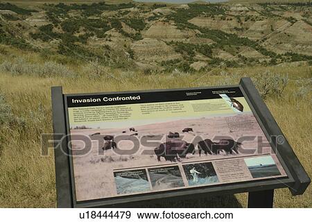 Stock Photo -  Medora, ND, North Dakota, Theodore Roosevelt National Park, South Unit, Painted Canyon, Visitor Center, Painted Canyon, overlook, interpretive sign, bison, buffalo. Fotosearch