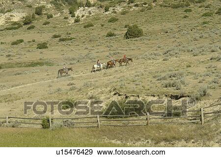 Medora, ND, North Dakota, trail ride, horseback riding View Large Photo Image Stock Photo - Medora, ND, North Dakota, trail ride, horseback riding. Fotosearch