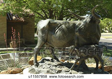 Midland, Texas, TX, View Large Photo Image Stock Photo - Midland, Texas, TX, . Fotosearch