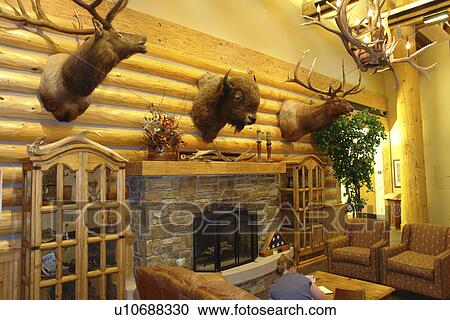Missoula, MT, Montana, Rocky Mountain Elk Foundation Wildlife Visitor Center View Large Photo Image Stock Image - Missoula, MT, Montana, Rocky Mountain Elk Foundation Wildlife Visitor Center. Fotosearch
