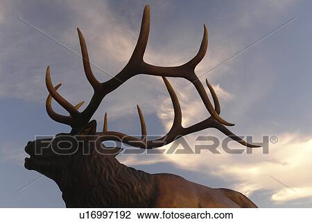 Missoula, MT, Montana, Rocky Mountain Elk Foundation Wildlife Visitor Center, Elk Statue View Large Photo Image Stock Image - Missoula, MT, Montana, Rocky Mountain Elk Foundation Wildlife Visitor Center, Elk Statue. Fotosearch