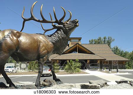 Missoula, MT, Montana, Rocky Mountain Elk Foundation Wildlife Visitor Center View Large Photo Image Stock Image - Missoula, MT, Montana, Rocky Mountain Elk Foundation Wildlife Visitor Center. Fotosearch