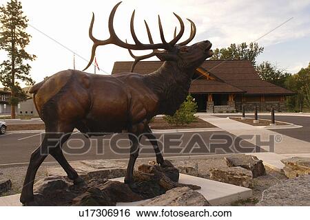 Missoula, MT, Montana, Rocky Mountain Elk Foundation Wildlife Visitor Center, Elk Statue View Large Photo Image Stock Photograph - Missoula, MT, Montana, Rocky Mountain Elk Foundation Wildlife Visitor Center, Elk Statue. Fotosearch