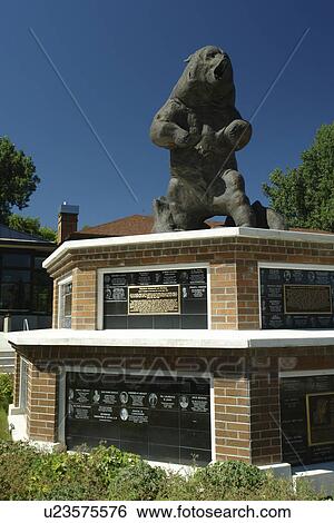 Missoula, MT, Montana, University of Montana, Grizzly Bear Statue View Large Photo Image Stock Photograph - Missoula, MT, Montana, University of Montana, Grizzly Bear Statue. Fotosearch