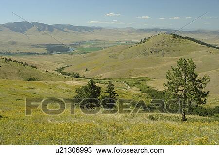 Moiese, MT, Montana, Headquarters National Bison Range, Flathead Indian Reservation, Mission Valley View Large Photo Image Stock Image - Moiese, MT, Montana, Headquarters National Bison Range, Flathead Indian Reservation, Mission Valley. Fotosearch
