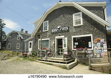Monhegan Island, ME, Maine, Black Duck Emporium View Large Photo Image Stock Image - Monhegan Island, ME, Maine, Black Duck Emporium. Fotosearch