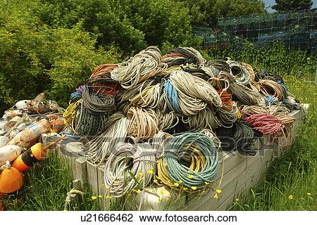 Monhegan Island, ME, Maine, fishing ropes View Large Photo Image Stock Image - Monhegan Island, ME, Maine, fishing ropes. Fotosearch