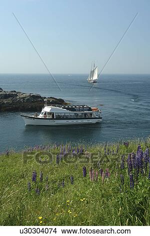 Picture -  Monhegan Island, ME, Maine, Hardy Boat Cruises. Fotosearch