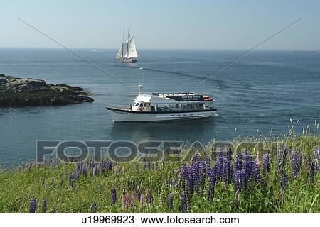Monhegan Island, ME, Maine, Hardy Boat Cruises View Large Photo Image Stock Image - Monhegan Island, ME, Maine, Hardy Boat Cruises. Fotosearch