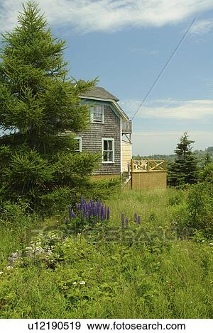 Stock Photo -  Monhegan Island, ME, Maine, . Fotosearch